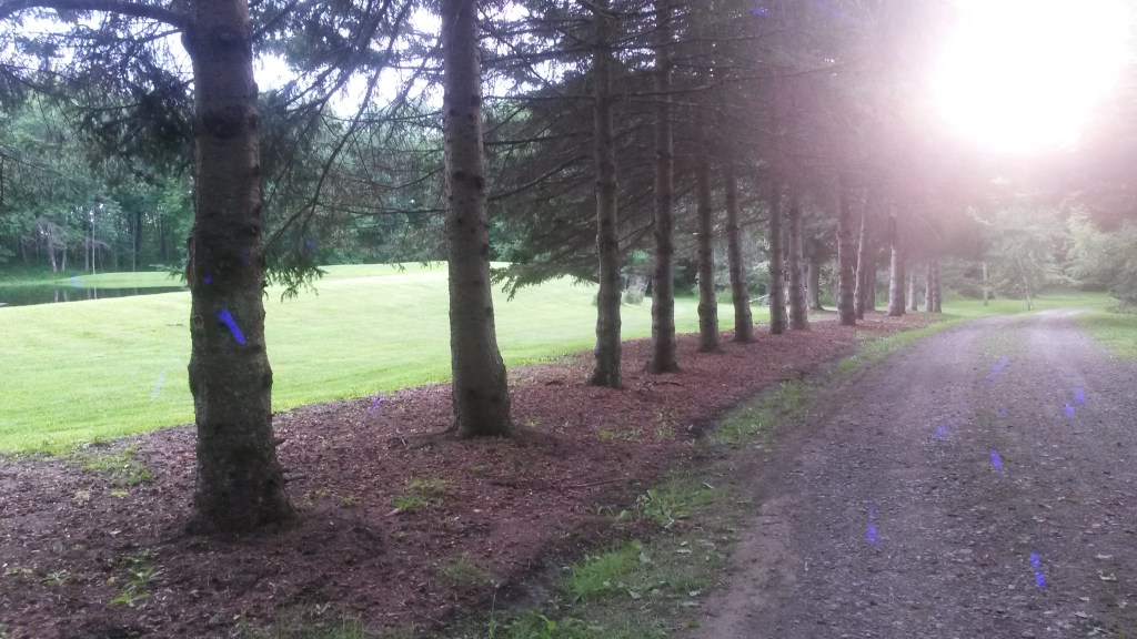 Loneliness Is Contagious But You Don’t Have to Catch&nbsp;It